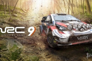 世界汽车拉力锦标赛9/WRC 9 FIA World Rally Championship