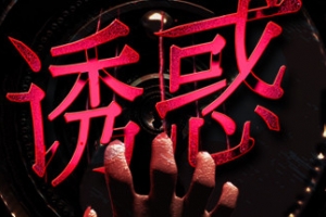 诱惑（Build.7586377-视觉-难度）