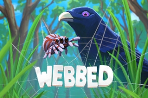 勇网直前/Webbed