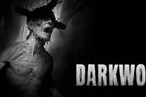 阴暗森林/Darkwood