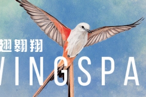 展翅翱翔/WINGSPAN