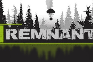 Remnants