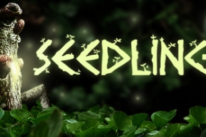 幼苗/Seedlings