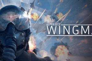僚机计划/Project Wingman