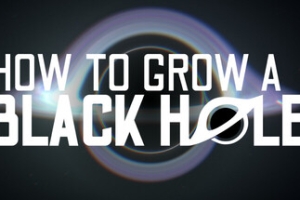 如何培育黑洞/How To Grow a Black Hole