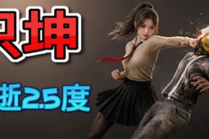只坤：影逝2.5度/Parry Survivor